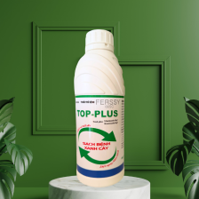 TOP PLUS
